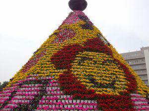DCIM0487.jpg